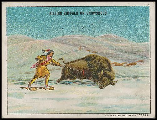 Killing Buffalo On Snowshoes